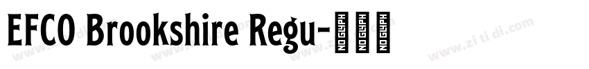 EFCO Brookshire Regu字体转换